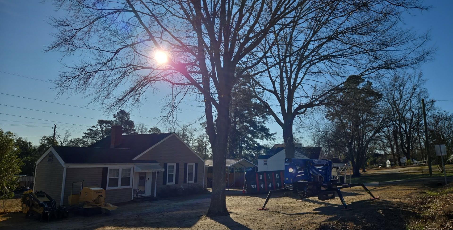 Large tree before removal next to house