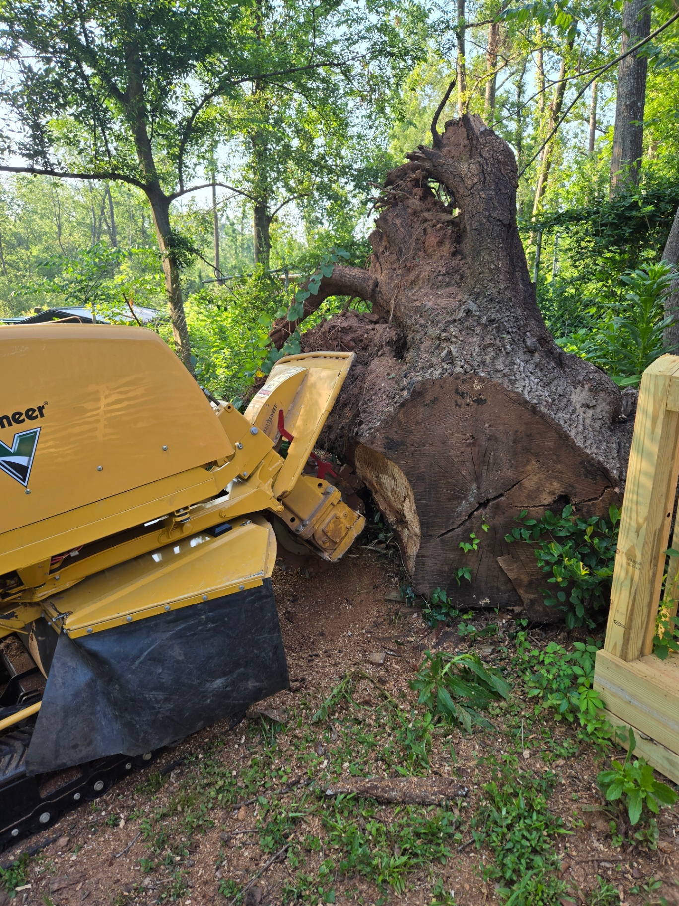 Stump Grinding